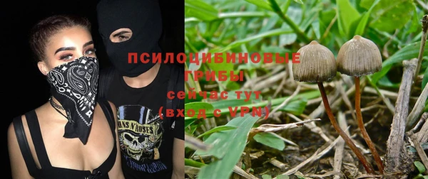 таблы Алексин
