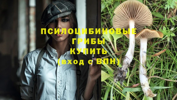 таблы Алексин